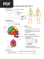 Skeletal System Coloring