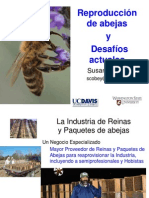 Susan Cobey Desafíos para La Crianza de Abejas Reinas