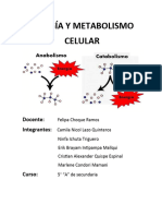 ENERGÍA Y METABOLISMO Celular