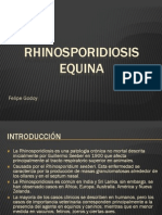 Rhinosporidiosis