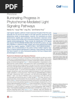 Illuminating Progress in Phytochrome Mediated Ligh