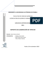 Reporte. Elaboración de Tepache