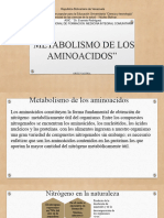 Metabolismo de Los Aminoacidos, Morfofisologia Humana 3