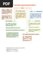 Esquema de Antiarritmicos