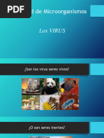 Virus