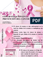 Presentacion Cancer de Mama