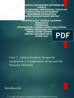 Casos de Salud Mental