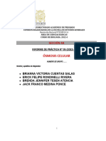 Tarea 5 - Informe de Practica