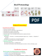 Protozoa 1 2