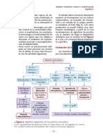 Hematología de Pregrado-53