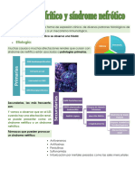 Síndrome Nefrítico y Síndrome Nefrótico ESCALONA DESGRA