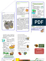 Triptico Del Calentamiento Global 2