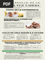 Infografia de La Adultez Tardia