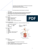 Digestive System Zoo