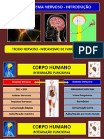 01 - Neuro - Introdução Ao Estudo Do Sistema Nervoso - 2022-1