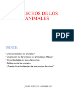 Derechos de Los Animales