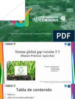 Normas GLOBAL GAP V 5.3