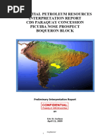 2009 Picuiba Nose 1500 M Well Proposal