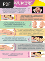 Mecanismos Del Trabajo de Parto