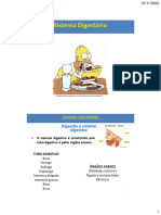 Aula 9 e 10. Anatomia Digestório