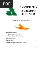 Monografia Aji Amarillo Final