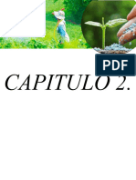 Capitulo 2 Pesticidas - Docx - Compressed