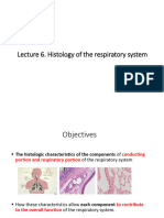 Lecture 6 Respiratory