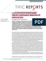 Gold Nanozyme-Based Paper Chip For Colorimetric Detection of Mercury Ions