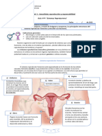 Guía 4 Sistema Reproductor Femenino