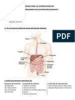 Actividades TEMA 2 El Sistema Digestivo