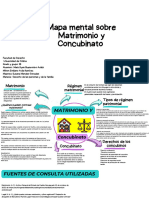 Mapa Mental Matrimonio y Concubinato