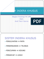 Fisiologi Indera Khusus Dr. Andi Tenri Sanna, SP