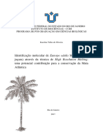 OLIVEIRA - Karoline Telles De. Identificacao Molecular de Euterpe Edulis Mart. - Palmito Jucara - Atraves Da Tecnica de High Resolution Melting