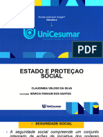 Seguridade Social - Segmentos de Proteção Social PDF