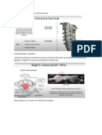 Biomecanica y Fisiologia Articular Cervical