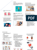 Triptico Hipertension