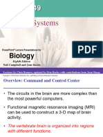 Nervous System - Gen Zoo-1