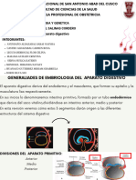 Embriologia Sistema Digestivo en El Embrion