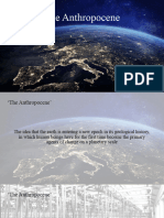 The Anthropocene