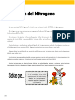 IV Bim - 1er. Año - Bio - Guía 5 - Ciclo Del Nitrogeno