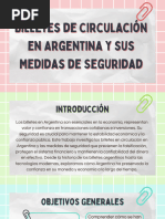 Billetes de Circulación en Argentina y Sus Medidas de Seguridad