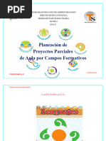 Planeación de Proyectos Parciales de Aula Por Campos Formativos