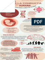 Factores de La Conducta Humana