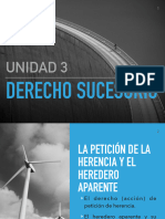 3.1. Petición de Herencia y Heredero Aparente