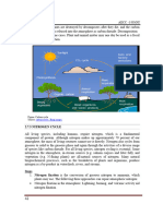 Nitrogen Cycle
