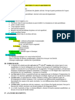 20.parotide Et Loge Parotidienne