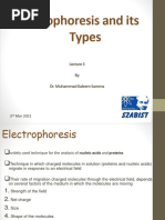 Lecture 3. Electrphoresis and Its Types