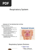 Respiratory System