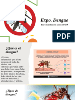 Expo Dengue