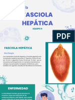 Faciola Hepática